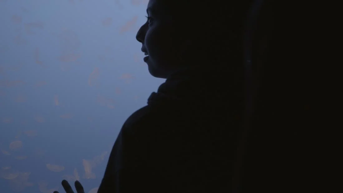 Frame from the Pretty Nice Productions cinematography reel